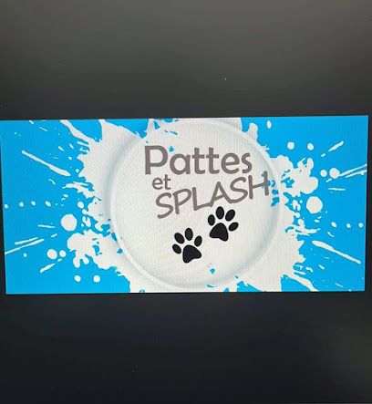 Pattes et splash