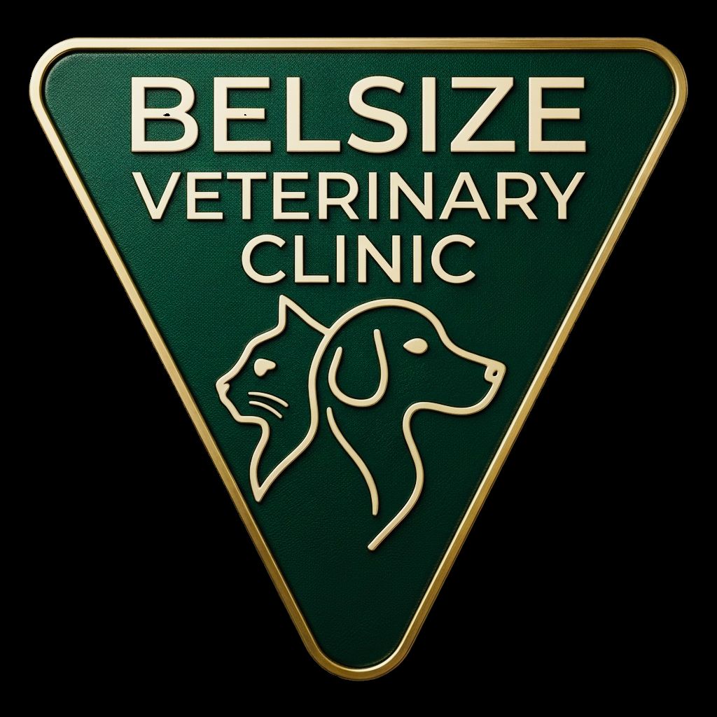 Belsizevet