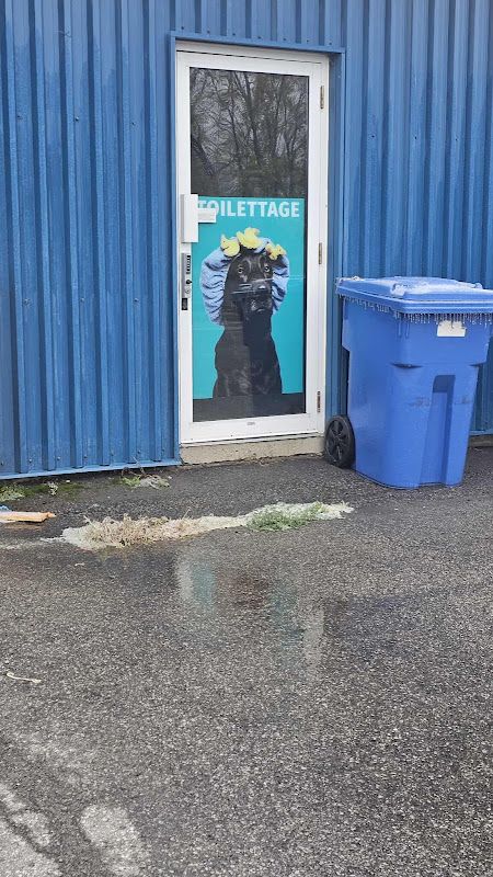 Spa canine SassyPaws