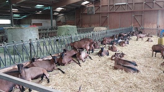 Ferme du Steinbach