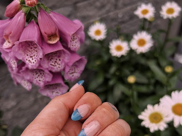Ongles Jenny & cie distribution
