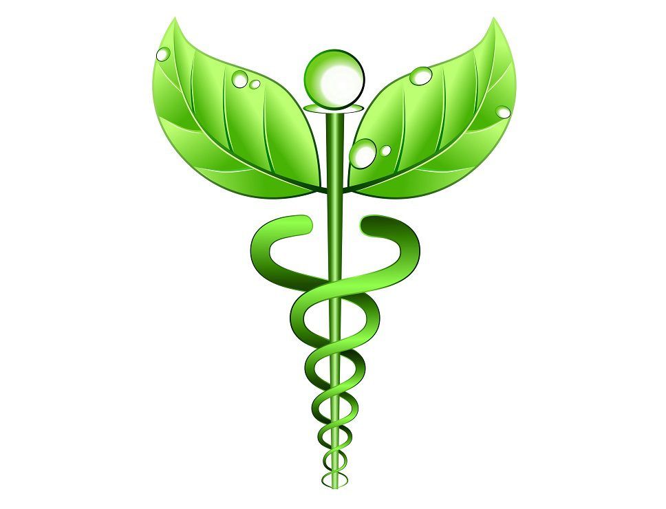 Naturopathy Brampton
