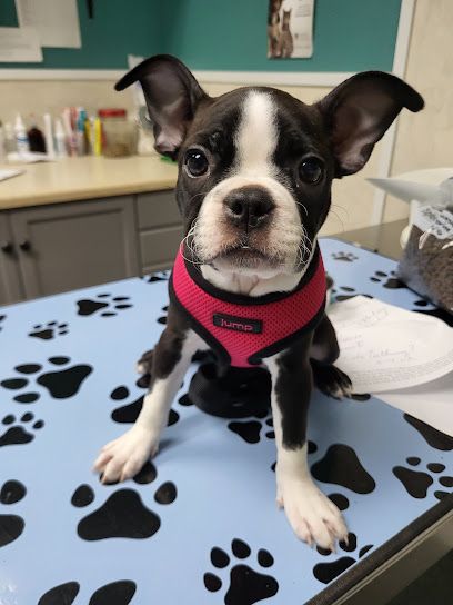 Brealeydriveanimalclinic