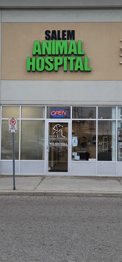 Salem Animal Hospital In Ajax