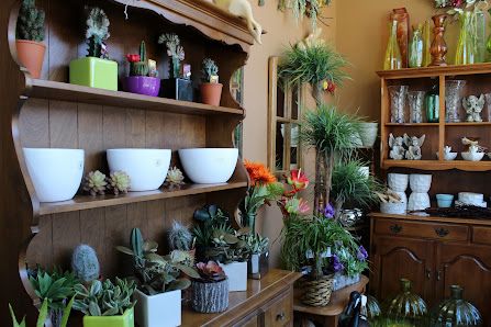 Fleuriste Salaberry De Valleyfield