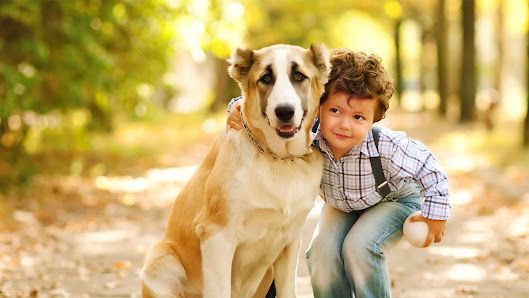 Wascana Animal Hospital