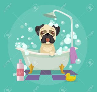 Technipoil Chiens & Chats