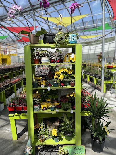 Horto Verdi votre centre de jardinage à St