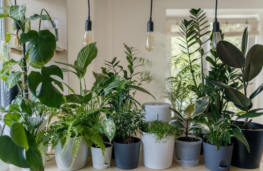 Verdure et aménagement paysager Terra