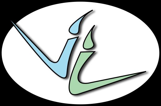 Vernon Lee Gymnastics