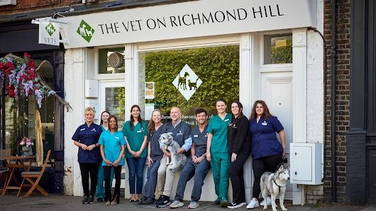 The Vet on Richmond Hill Home