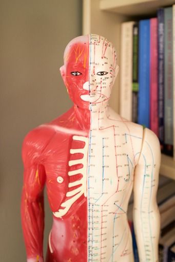 Acupuncture Saffron Walden