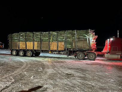 TRANSPORT G.D.M. INC.TRANSCIBOIS INC