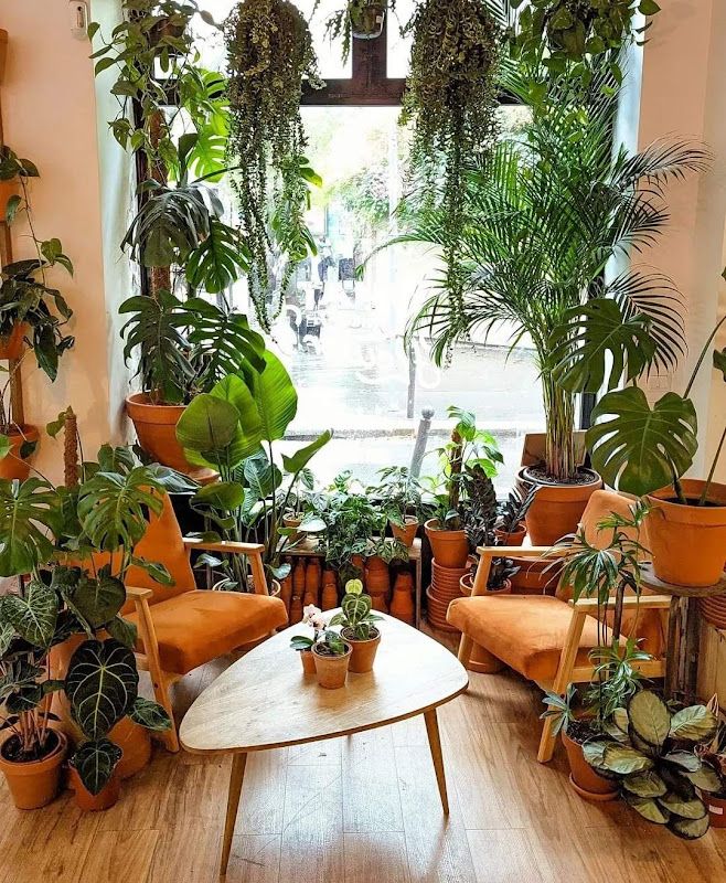 Plantopia