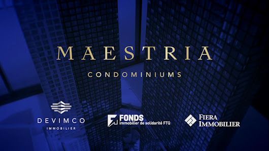 Maestria Studio