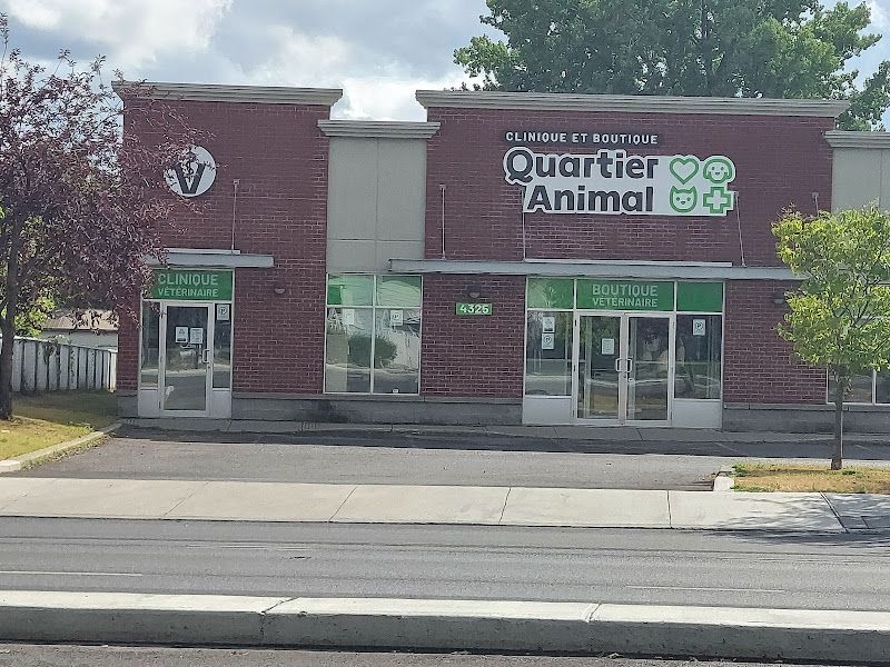 CLINIQUE VÉTÉRINAIRE QUARTIER ANIMAL DE LONGUEUIL - OUVERT.