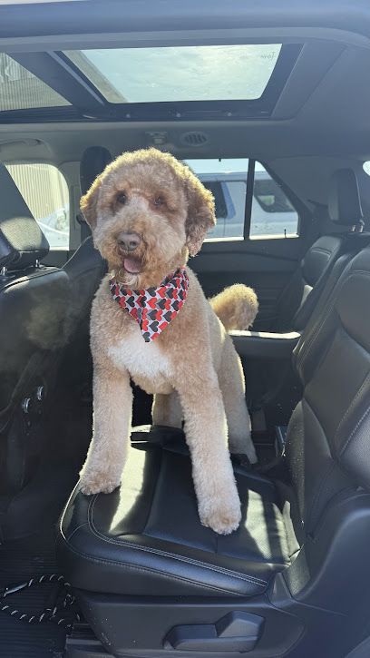 Clippingdale's Salon For Pets