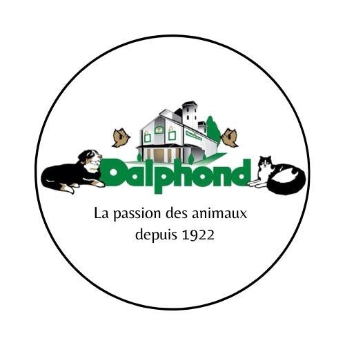 Pour votre chien, votre chat, et bien plus