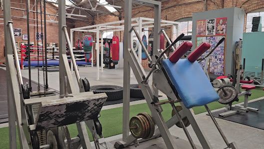 Muscle Machine