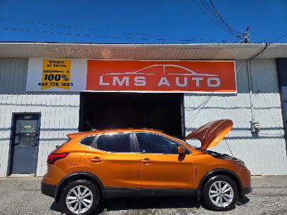LMS AUTO INC