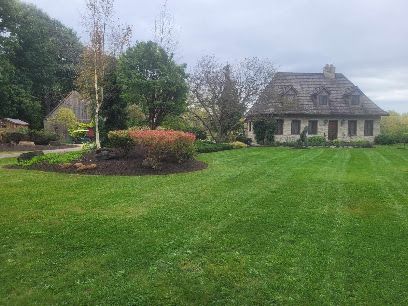 Rockgrovelandscapes