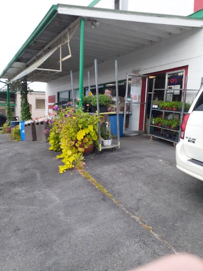 Quattrocchi's Specialty Foods