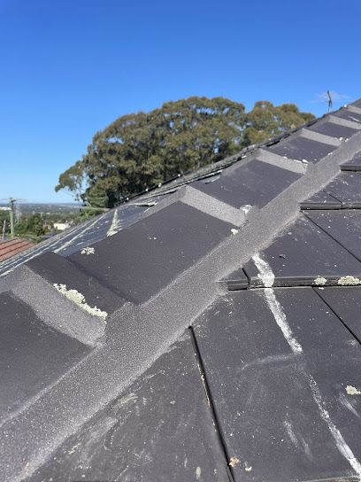 Sydney Roof Co.