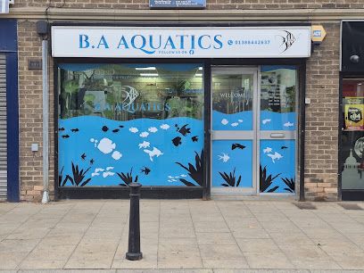 Aquatics