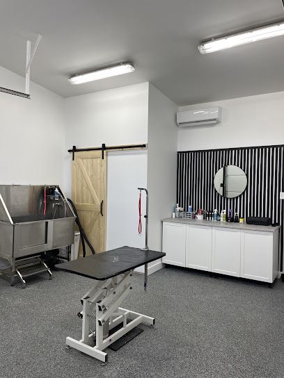 Salon de tonte style canin